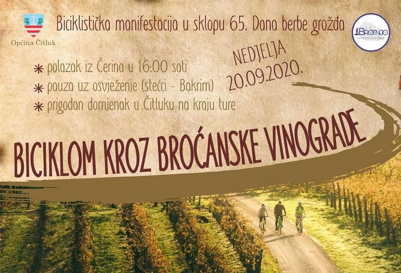 Biciklistička tura u povodu Dana berbe grožđa u Brotnju