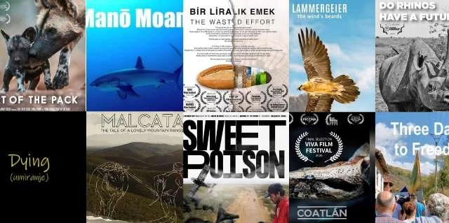 Ekologija u programu 6. VIVA film festivala