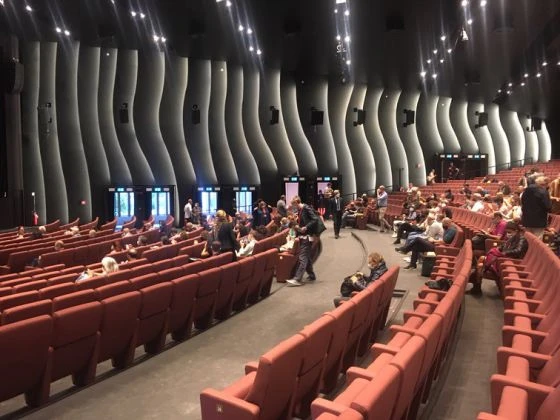 Poluprazne dvorane na filmskom festivalu u Veneciji