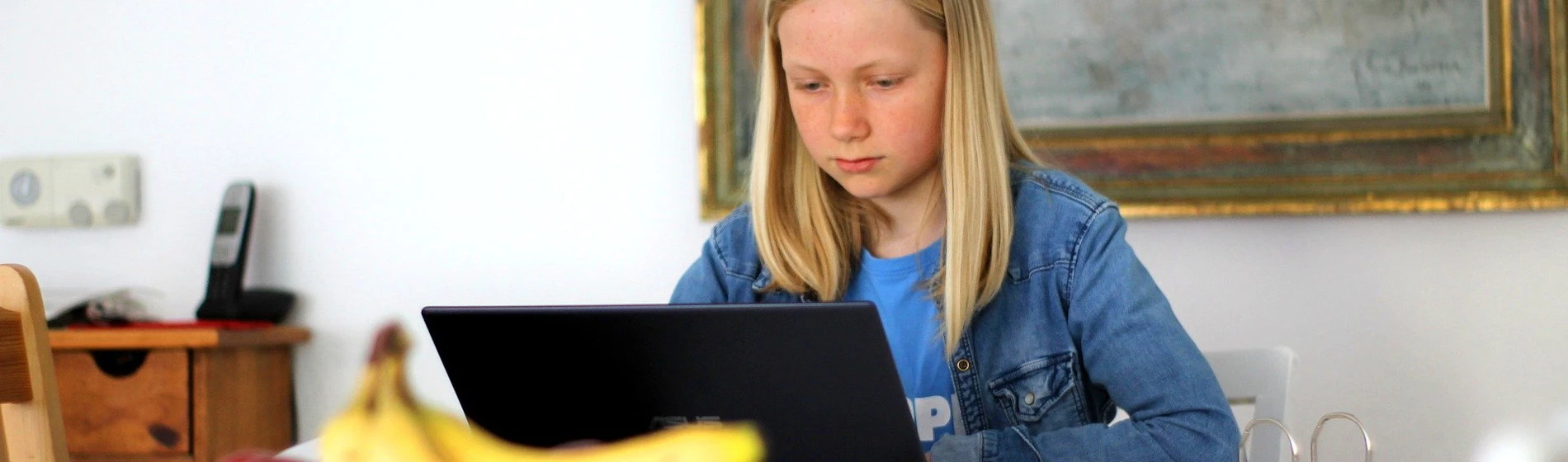 Udruženje Duga: Jesmo li spremni za online nastavu?
