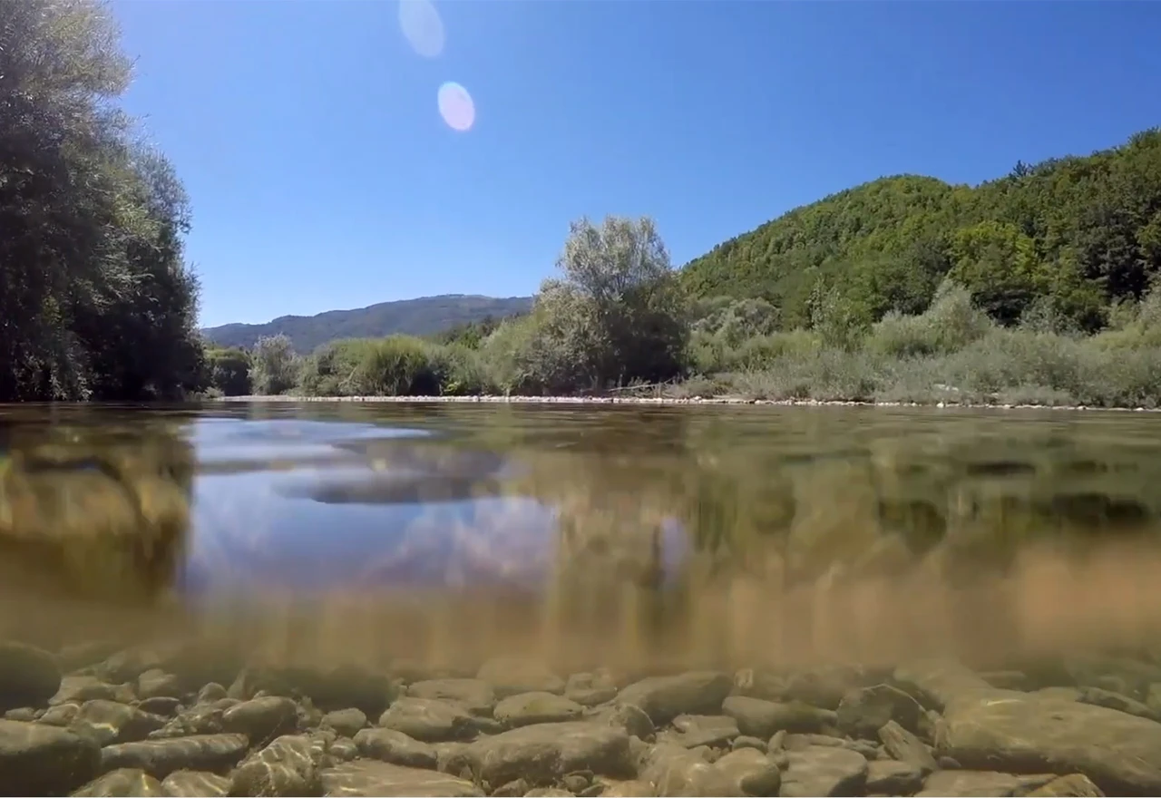 VIDEO | Kako se ubija Neretva?