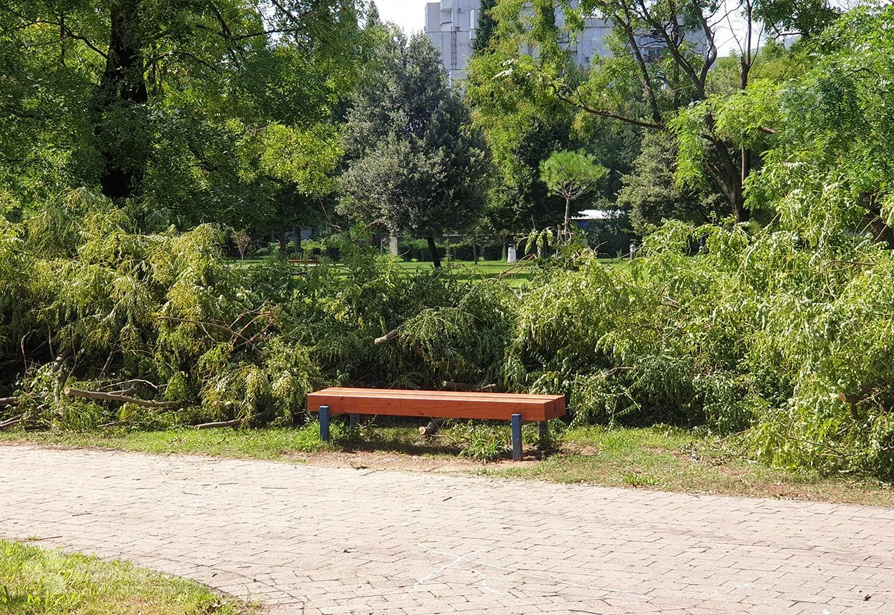 Čekao se radni dan: Radnici uklanjaju granje u Zrinjevcu