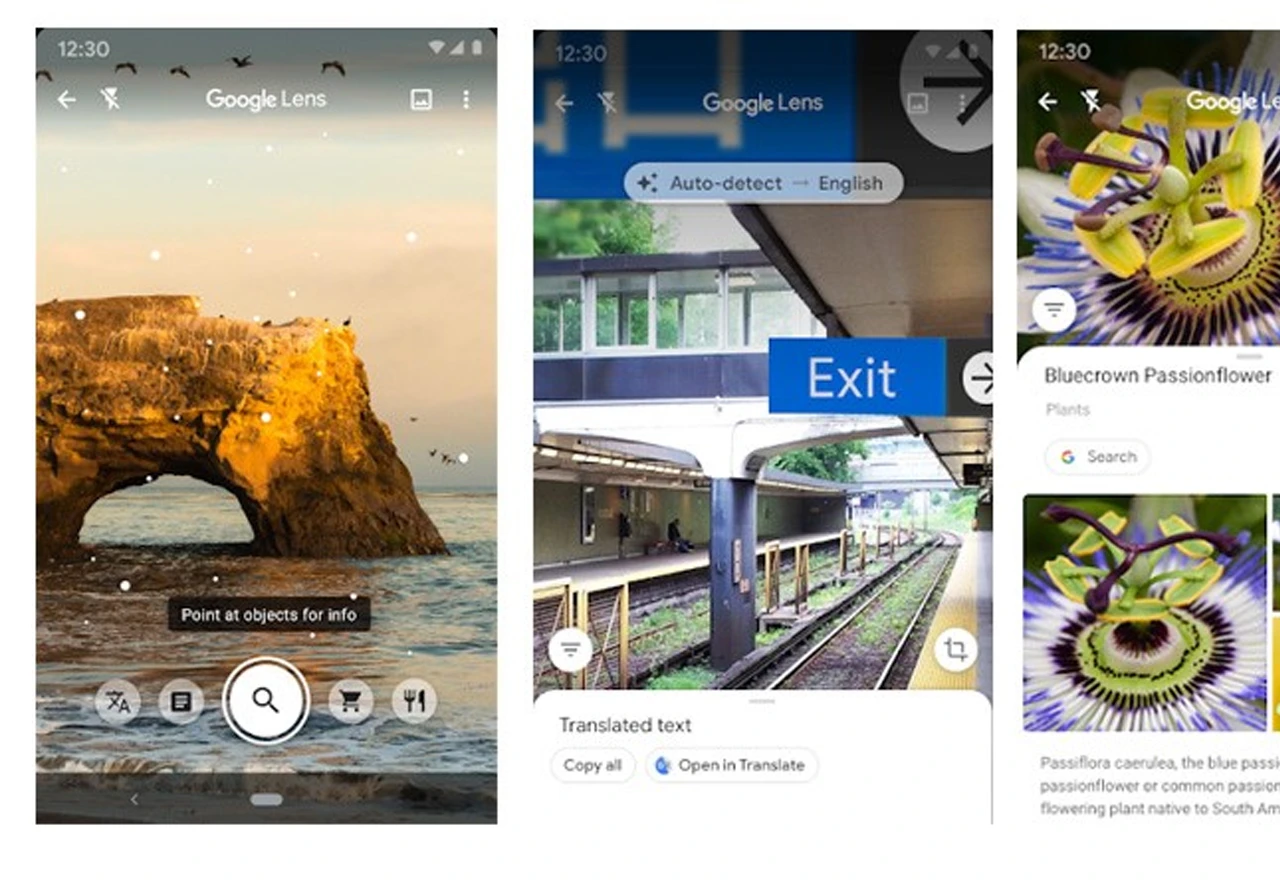 Vizualno pretraživanje uz pomoć umjetne inteligencije - Google Lens