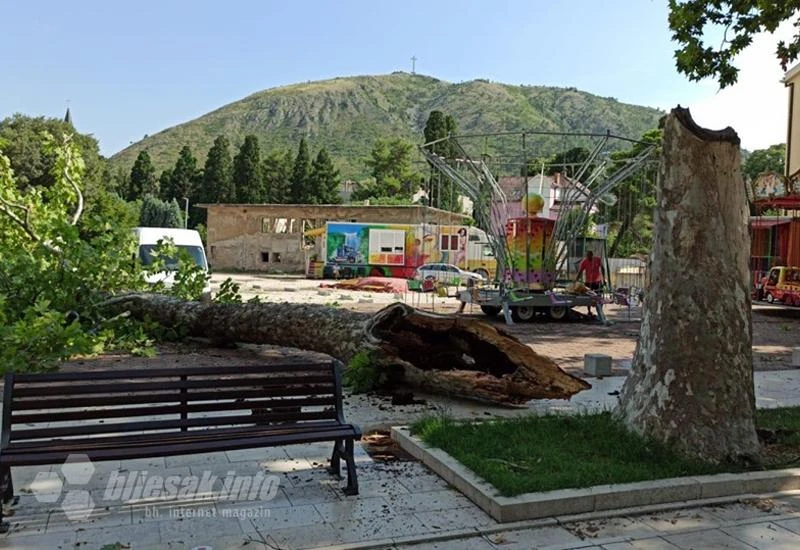 Na šetnicu uz dječje ljuljačke u Mostaru pao platan