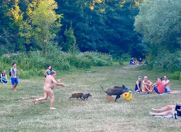 Akcija na nudističkoj plaži, ali ne onakva na koju bi pomislili