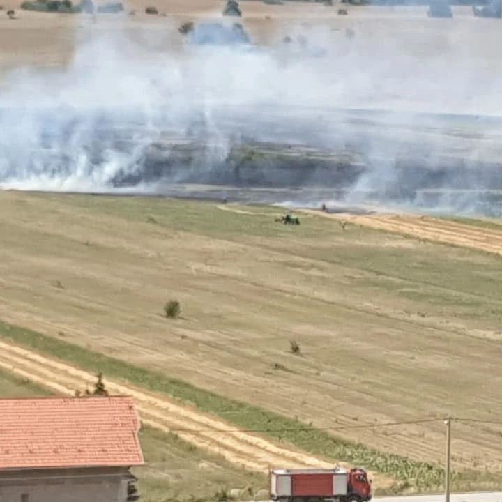 Požar u blizini Livna zahvatio polja žita