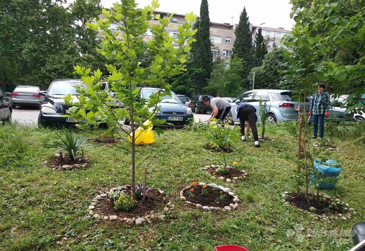 Mostar: Sve je manje održavanih zelenih površina, a sve više nebrige