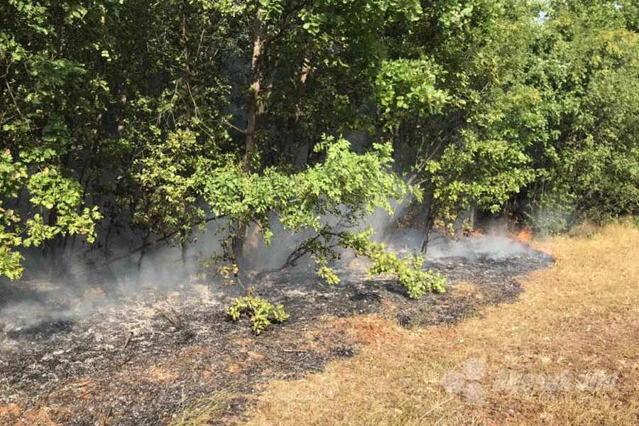 Vatrogasci opet na terenu: Veliki požar na Gubavici