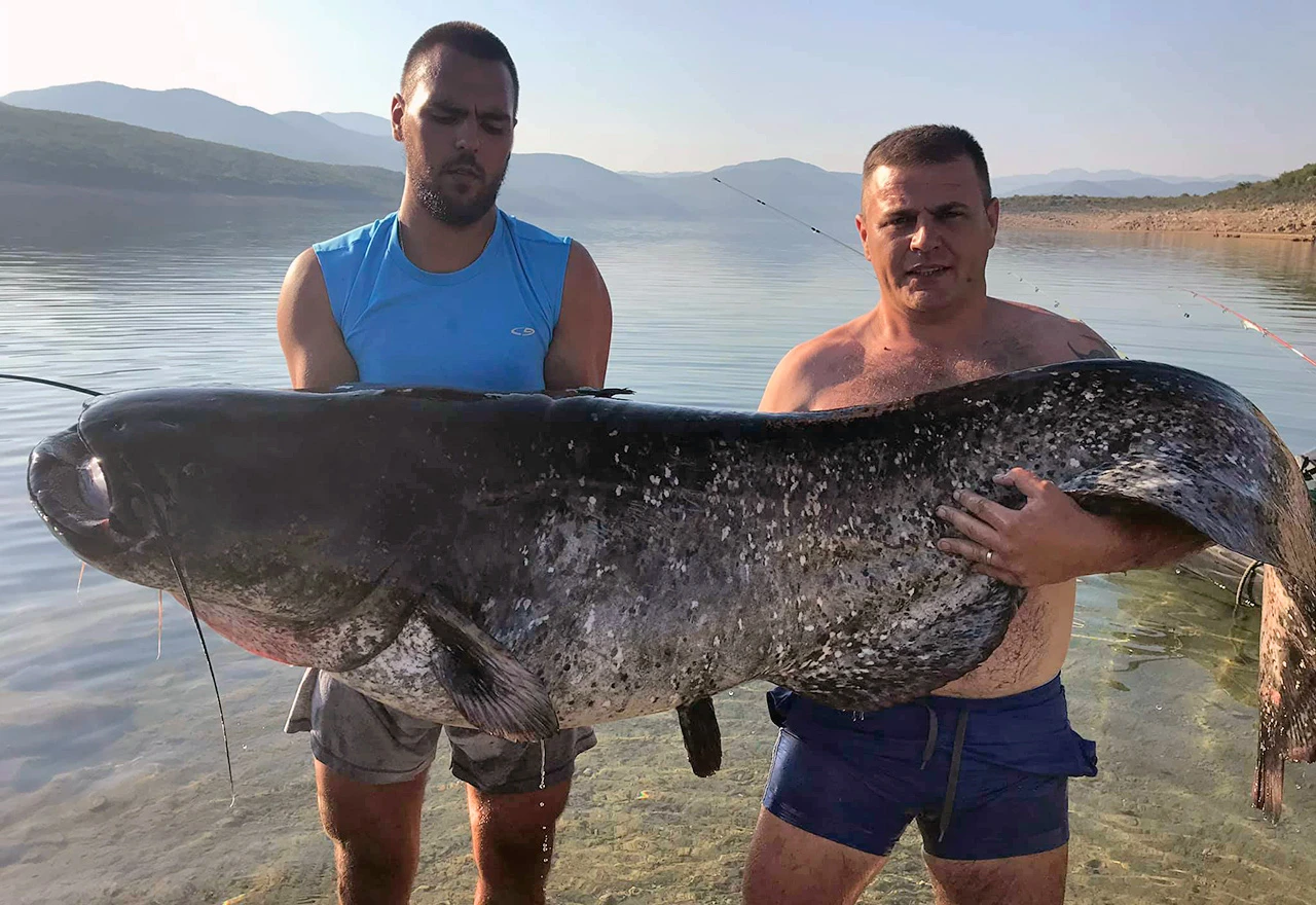 Na hercegovačkom jezeru ulovili soma od 92 kilograma
