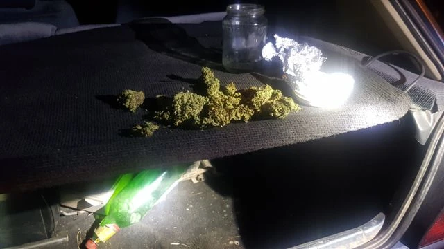 Oduzeta marihuana