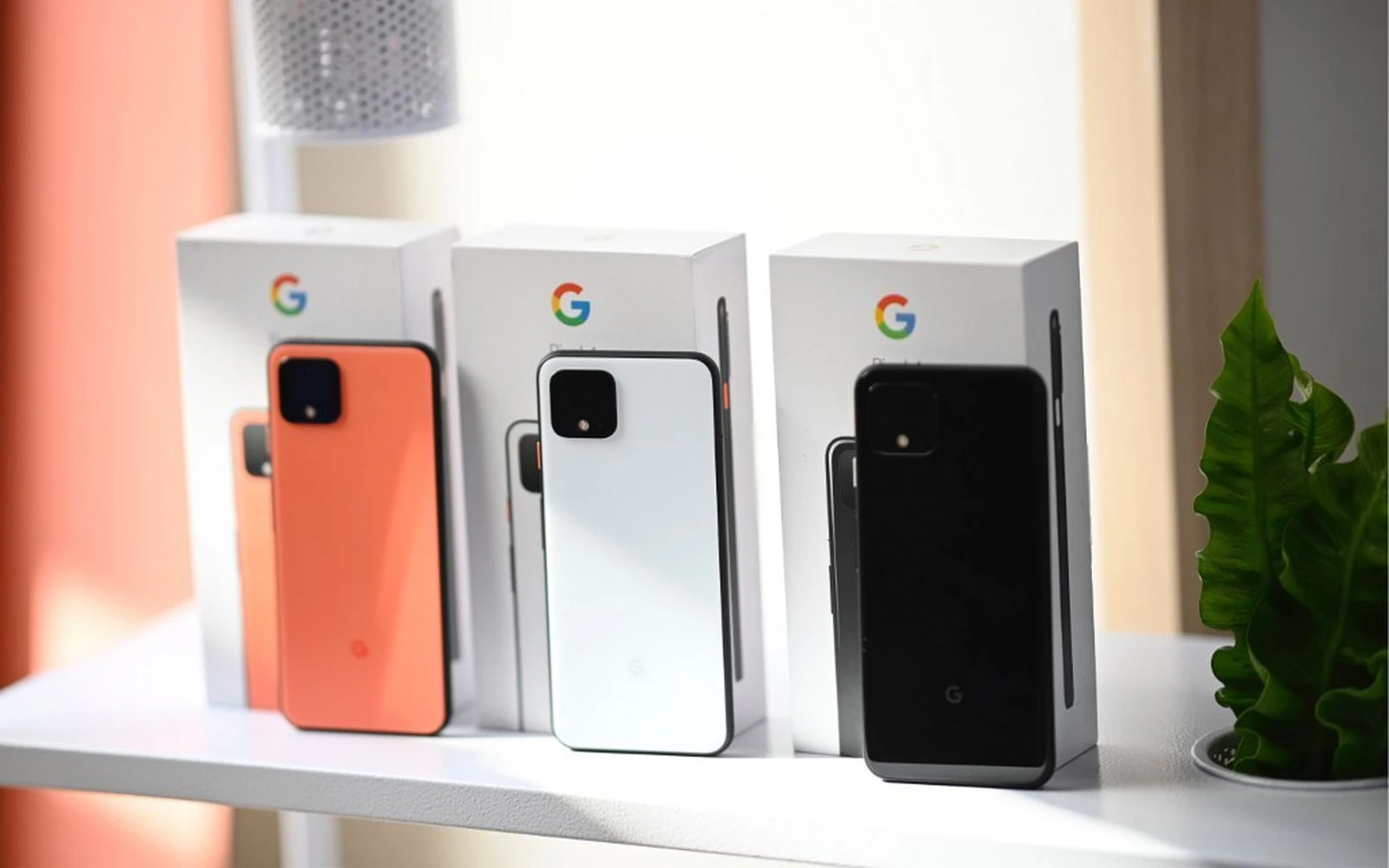Google priprema novi smartphone čiji će glavni adut biti - pristupačna cijena