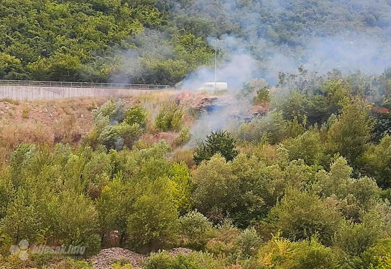 Gori trava i nisko raslinje uz cestu