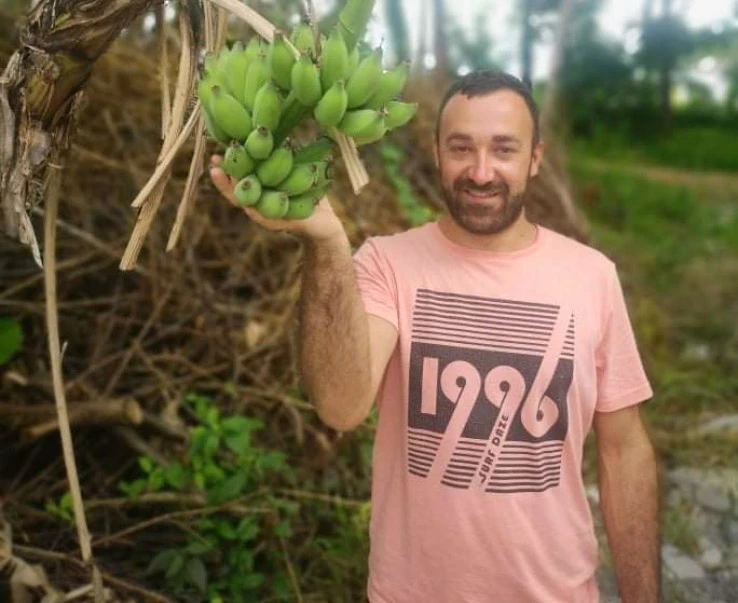 Banane rodile u Maglaju