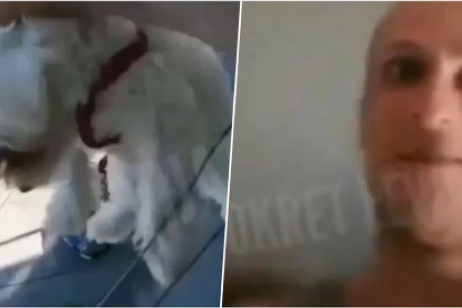 Muškarac iz Tuzle uhićen zbog zlostavljanja psa