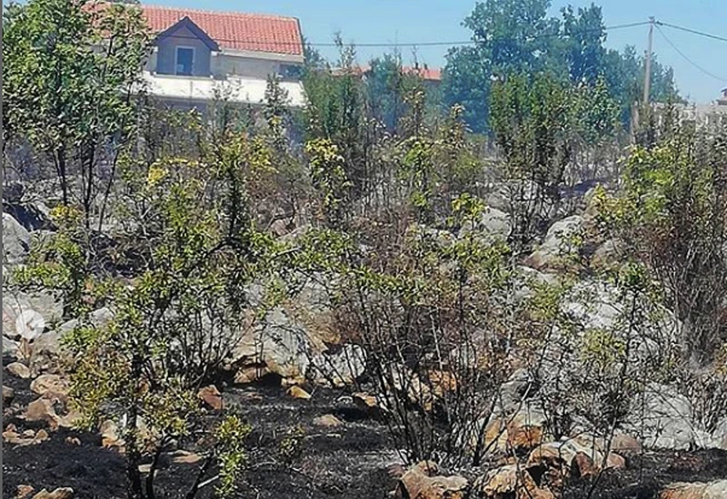 Čapljinski vatrogasci spašavali kuće u Šuškovom naselju