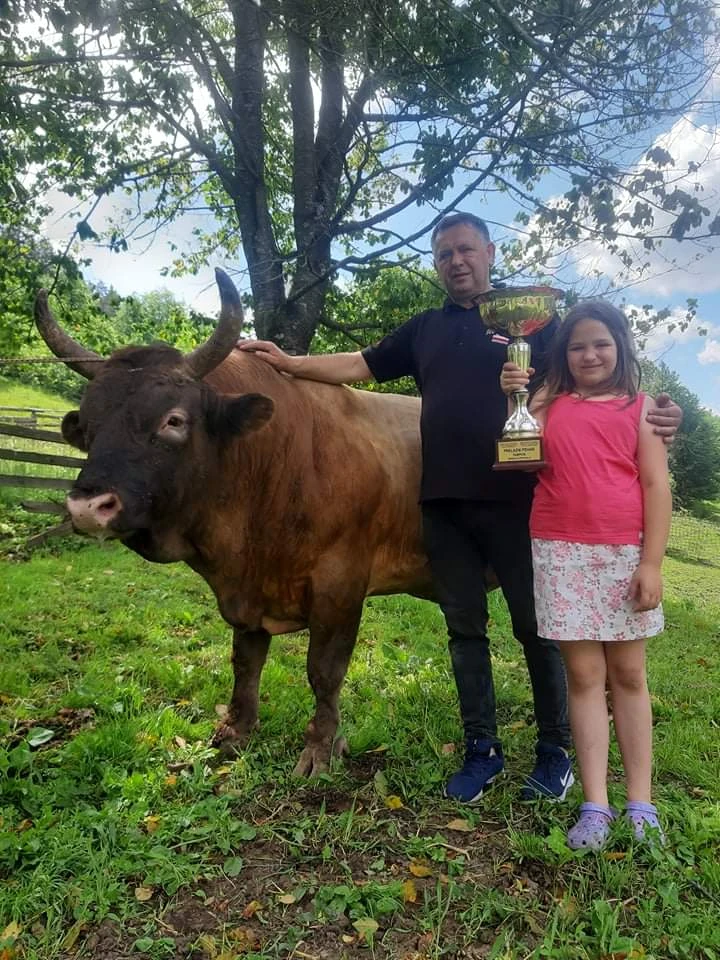 Bik Medonja je višestruki vladar Čevljanske koride i vlasnik ga nije htio prodati ni za 50.000 eura