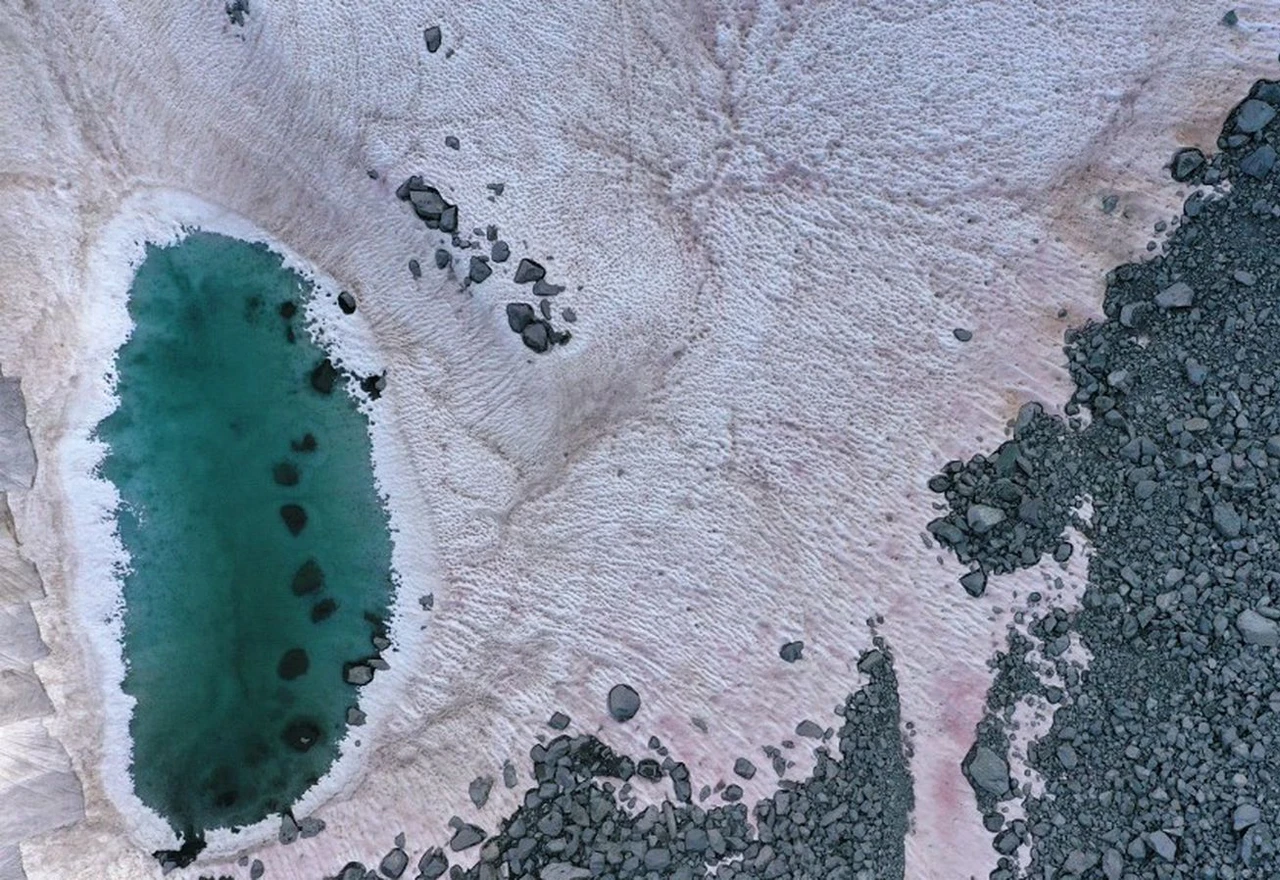Neobičan ružičasti snijeg u Alpama možda je vjesnik brzih klimatskih promjena