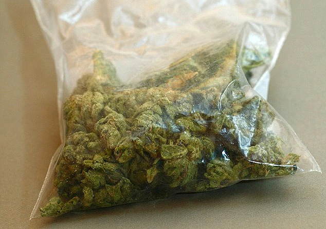 Vikend u HNŽ-u: Policija oduzela marihuanu i heroin